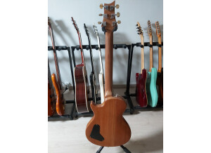 PRS SE Singlecut (97579)