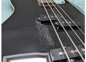 PXL_20211212_110944727