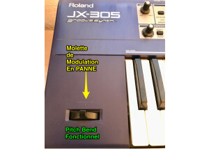 Roland JX-305 (48646)