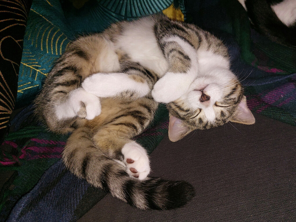 4074771.jpg 4074771.jpg