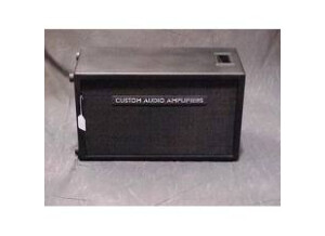 Custom Audio Electronics 2X12 (69345)
