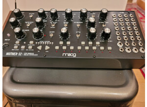 Moog Music Mother 32 (84774)