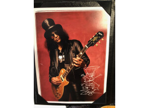 Epiphone Slash Appetite Les Paul Standard (34228)