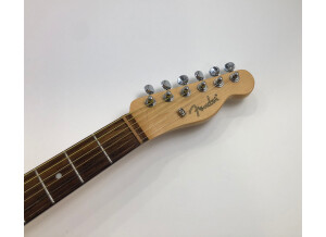 Fender Standard Telecoustic Paisley (7750)