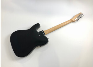 Fender Standard Telecoustic Paisley (40586)
