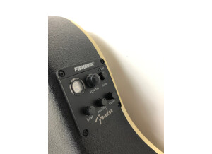 Fender Standard Telecoustic Paisley