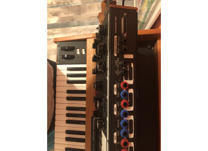 Moog Music Minimoog Voyager Performer Edition (65317)
