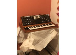 Moog Music Minimoog Voyager Performer Edition (12186)