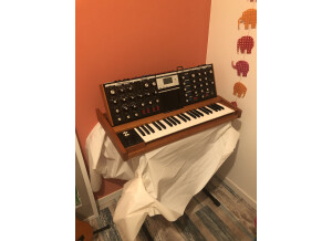 Moog Music Minimoog Voyager Performer Edition (54674)