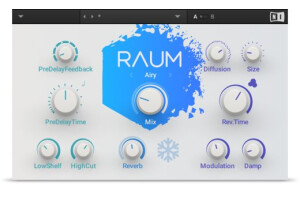 Native Instruments Raum