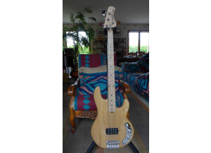 Sterling by Music Man Ray34 (81150)