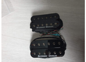 Seymour Duncan Black Winter (86032)