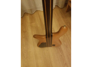 warwick-streamer-stage-3141957