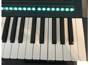Korg Opsix (79420)
