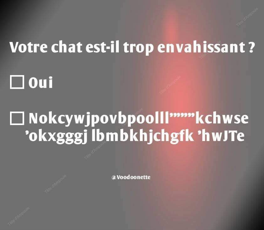 4088934.jpg 4088934.jpg