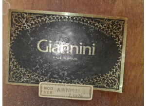 Giannini AWN31 (25570)