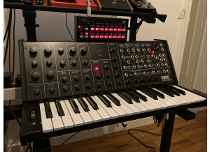 Korg MS-20 FS (82419)