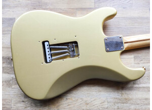 Fender 50th Anniversary Golden Stratocaster (2004) (58615)