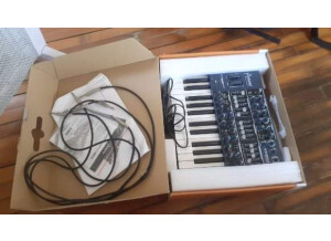 Arturia MiniBrute (21567)