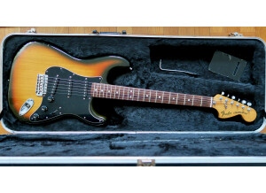 Fender 25th anniversary American Stratocaster (1979) (43883)