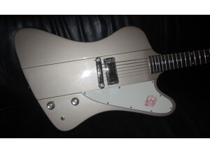 Epiphone Joe Bonamassa "Treasure" Firebird-I Outfit (34412)