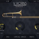 VHorns Brass Section VHorns Brass Section
