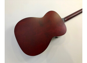 Art & Lutherie Legacy Q1T (22531)