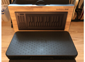 ROLI Seaboard Rise 25 (87300)