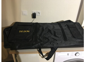Delson NP 10