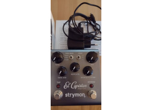 Strymon El Capistan (95753)