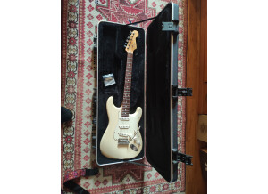 Fender American Standard Stratocaster [2008-2012] (1242)