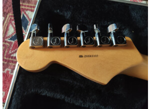 Fender American Standard Stratocaster [2008-2012] (454)