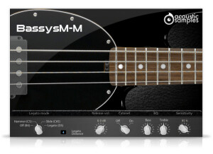 bassysmmscreen-600x401