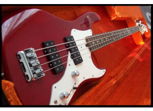 Fender Artist Series - Roscoe Beck Bass IV CRT
