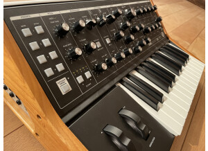 Moog Music Subsequent 25 (12682)