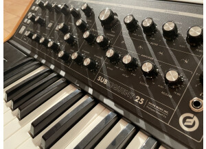 Moog Music Subsequent 25 (84282)