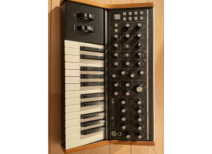 Moog Music Subsequent 25 (42382)
