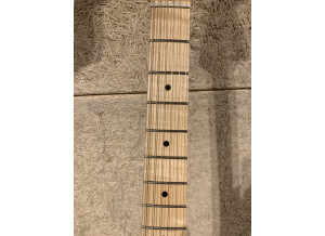 Fender American Performer Stratocaster HSS (8702)