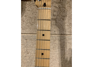 Fender Player Telecaster (19873)