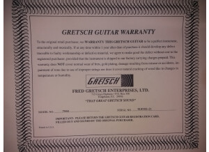 Gretsch G7593 White Falcon I