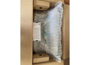 Korg MS-20 FS (52771)