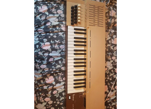 Bontempi 13 (72982)