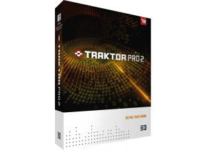 Native Instruments Traktor Pro (85966)