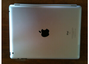 Apple iPad (61599)