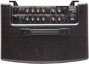 Roland AC-60 (94298)