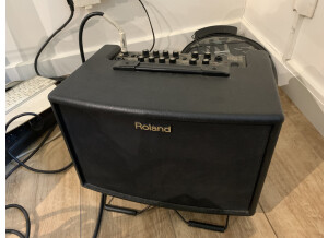 Roland AC-60 (24549)