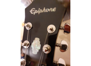 Epiphone Limited Edition Dot Deluxe (24696)