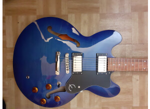 Epiphone Limited Edition Dot Deluxe (20095)