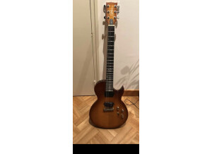 Chapman Guitars ML-2 (46631)