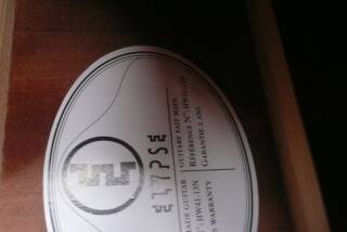 Elypse Guitars HW41-13N